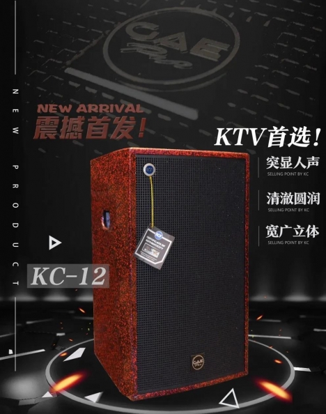 【91网站视频在线观看音響】室外廣場舞（wǔ）台音響（xiǎng）拾音妙（miào）招